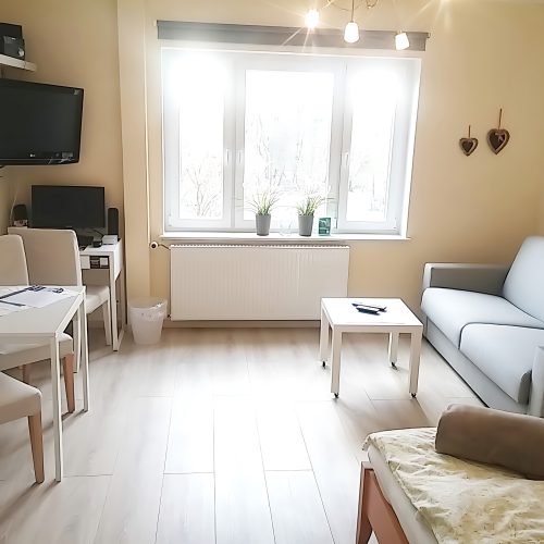 Wohnen auf Zeit – Helles Wohnzimmer – Modernes Wohnstudio mit Esstisch, Sofa, großem Fenster, TV-Bereich und freundlicher Einrichtung